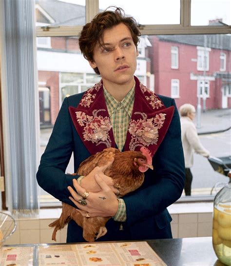 gucci men's tailoring campaign harry styles|Harry Styles Stars in Gucci Men’s Tailoring Campaign .